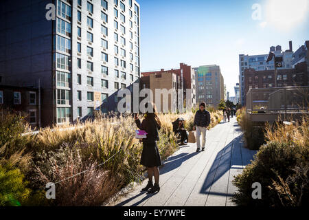 Le parc High Line à New York. La ligne haute est un parc public construit sur une ligne ferroviaire fret historique élevé au-dessus de Manhattan Banque D'Images