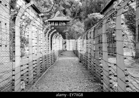 Camp de concentration d'Auschwitz - Pologne Banque D'Images