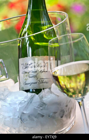 Stellenbosch Afrique du Sud Sauvignon Blanc Vin bouteille en verre et seau à glaçons en situation ensoleillée jardin en plein air Banque D'Images