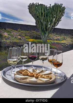 Situation ensoleillée en plein air avec dégustation de vin rouge et vin blanc, sélection de fromages et de biscuits secs en winery jardin Banque D'Images