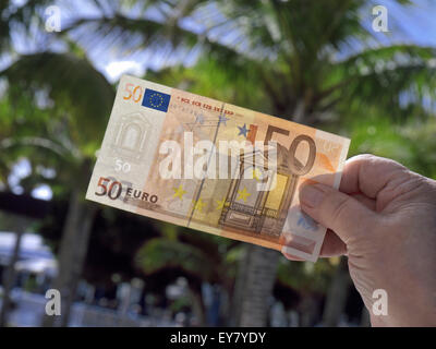 Main tenant 50 Euro note avec soleil générique maison de vacances palmiers derrière Banque D'Images