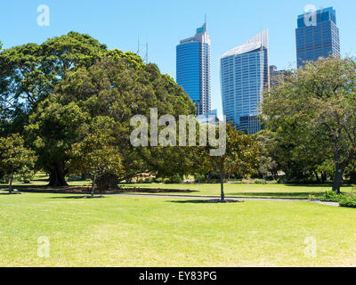 Bâtiment moderne avec pelouse verte comme arrière-plan à Sydney, Australie Banque D'Images