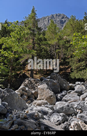 Parc National des Gorges de Samaria, Crète, Grèce Banque D'Images