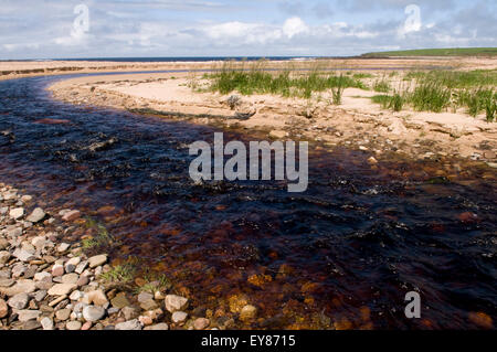 Rivière qui coule vers le bas de la baie, Sandside Reay, Caithness, Ecosse Banque D'Images
