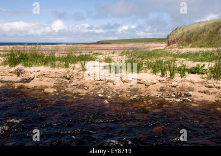 Rivière qui coule vers le bas de la baie, Sandside Reay, Caithness, Ecosse Banque D'Images