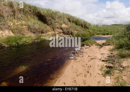 Rivière qui coule vers le bas de la baie, Sandside Reay, Caithness, Ecosse Banque D'Images