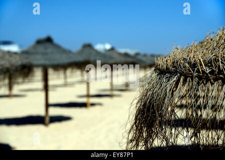 Seule la ligne de paille et les parasols de plage d'or et bleu ciel Banque D'Images