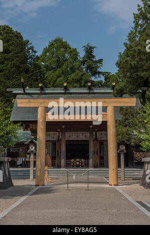 Torii dans Imizu culte, Kojo Park, Takaoka, Japon Banque D'Images