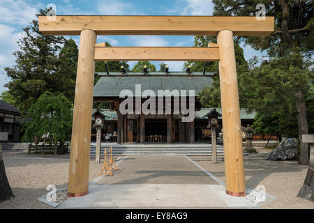 Torii dans Imizu culte, Kojo Park, Takaoka, Japon Banque D'Images