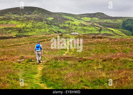 Walker sur la voie d'une tasse et bague marquée Rock le Garleigh Moor en dessous de la balise dans le collines Simonside Northumberland Rothbury Banque D'Images