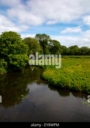 Les zones de plaine inondable de la rivière Trent à Burton on Trent Staffordshire England UK Banque D'Images
