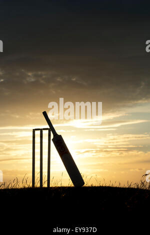 Cricket et les souches au coucher du soleil. Silhouette Banque D'Images