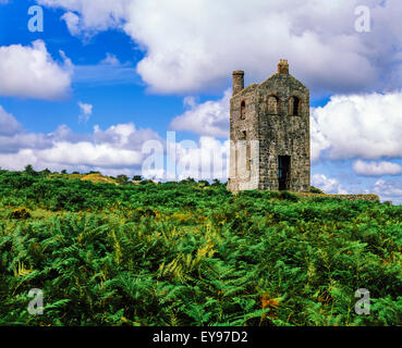 South Wheal Phoenix Engine House, maintenant le centre du patrimoine, sur Bodmin Moor à Minions, Cornwall, Angleterre Banque D'Images