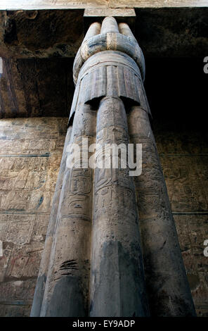 Louxor, Egypte. Temple de Louxor (Ipet resyt) : colonne sous la forme de papyrus fermé Banque D'Images