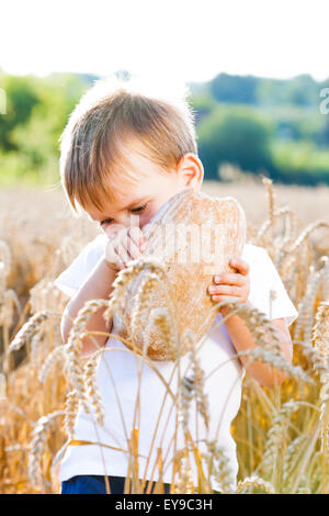 Garçon avec le pain au-dessus de votre tête dans le grain à maturité avec le soleil dans le dos pour l'atmosphère de rêve Banque D'Images