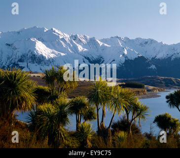 Central Otago Nouvelle-zélande arbres par le lac Hawea Chou Banque D'Images