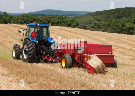 New Holland TD5050 avec BC5070 mise en balles balles carrées de paille de blé pour la litière ; Lititz, Pennsylvania, United States of America Banque D'Images