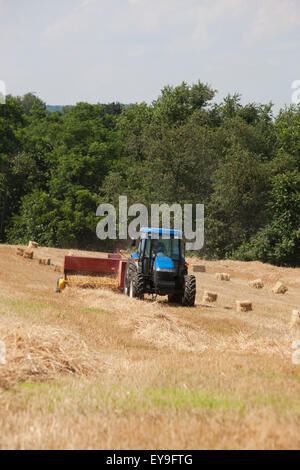 New Holland TD5050 avec BC5070 mise en balles balles carrées de paille de blé pour la litière ; Lititz, Pennsylvania, United States of America Banque D'Images