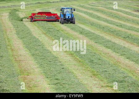 New Holland T5040 avec H5430 doubleur d'andain ; New Holland, Michigan, United States of America Banque D'Images