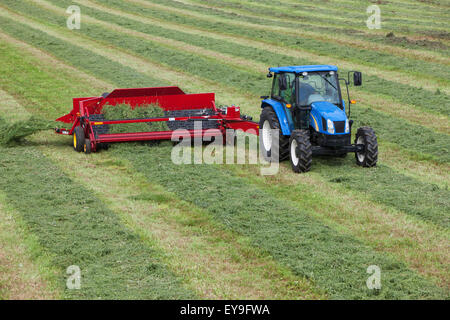 New Holland T5040 avec H5430 doubleur d'andain ; New Holland, Michigan, United States of America Banque D'Images