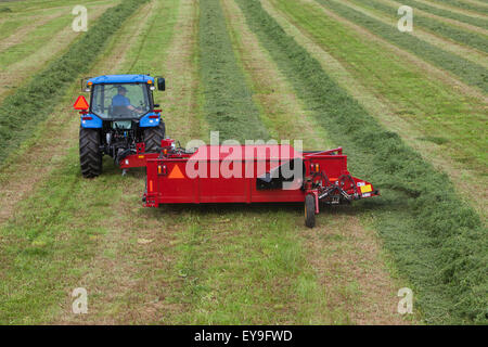 New Holland T5040 avec H5430 doubleur d'andain ; New Holland, Michigan, United States of America Banque D'Images