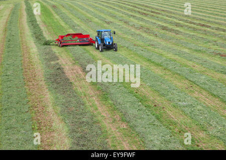 New Holland T5040 avec H5430 doubleur d'andain ; New Holland, Michigan, United States of America Banque D'Images