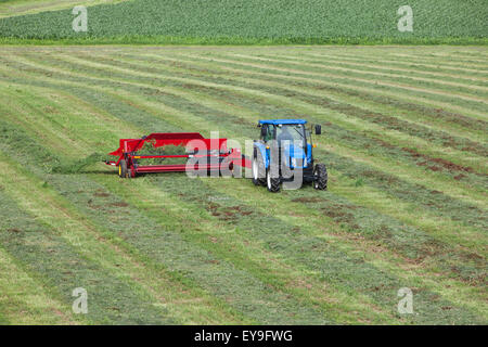 New Holland T5040 avec H5430 doubleur d'andain ; New Holland, Michigan, United States of America Banque D'Images