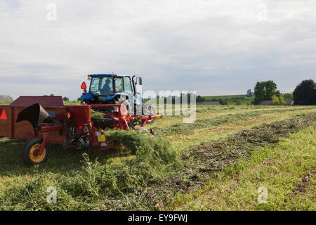 New Holland T5040 avec H5430 doubleur d'andain ; New Holland, Michigan, United States of America Banque D'Images