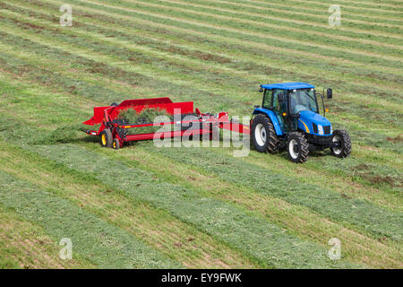 New Holland T5040 avec H5430 doubleur d'andain ; New Holland, Michigan, United States of America Banque D'Images