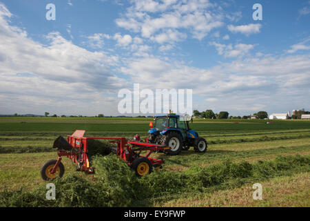 New Holland T5040 avec H5430 doubleur d'andain ; New Holland, Michigan, United States of America Banque D'Images