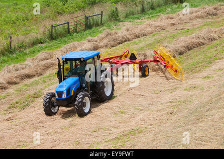 New Holland T5040 avec H5980 ; râteau à roues New Holland, Michigan, United States of America Banque D'Images