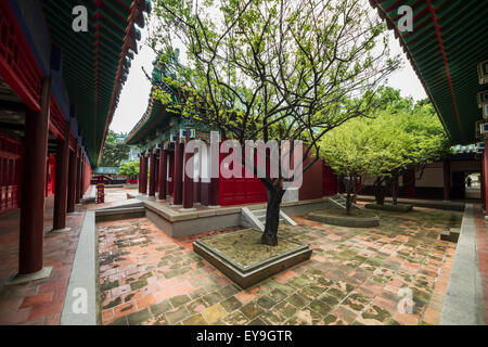 Les arbres dans la cour de la Zheng (Tiancheng Hotel) Koxinga culte ; Tainan, Taiwan Banque D'Images