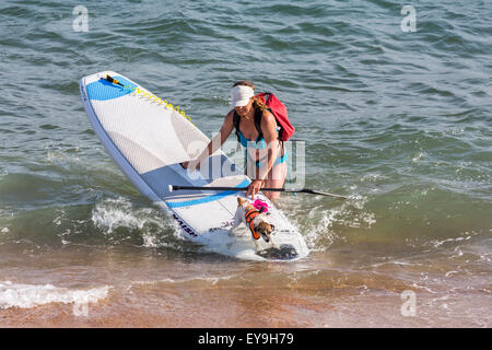 Femme pagayant sur un planche de surf ou paddle board dans la mer avec son chien de terrier animal de compagnie, West Bay, Jurassic Coast, Dorset, sud-ouest de l'Angleterre, en été Banque D'Images