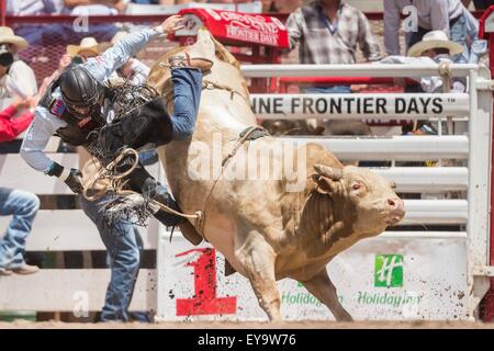 Cheyenne, Wyoming, USA. 24 juillet, 2015. Bull rider Cody Teel est projeté de sa ride au Cheyenne Frontier Days à Frontier Park Arena le 24 juillet 2015 à Cheyenne, Wyoming. Frontier Days célèbre les traditions de l'ouest cowboy avec un rodéo, défilé et juste. Banque D'Images