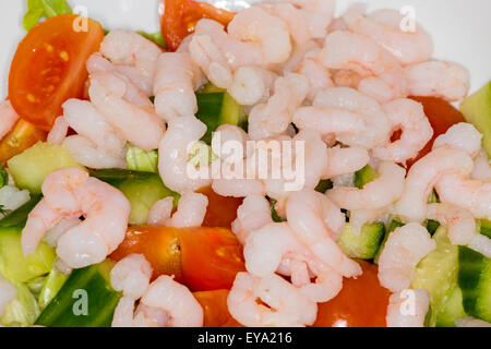 Apéritif cocktail de crevettes avec salade Banque D'Images