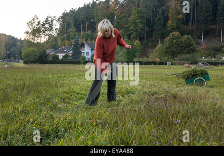 Alberschweiler, France, femme de la tonte de l'herbe avec une faux Banque D'Images