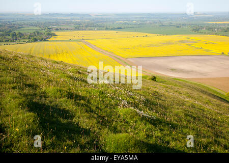 Vue sur Pewsey Vale de l'escarpement de craie pente de Milk Hill, Alton Barnes et Alton Priors, Wiltshire, Angleterre Banque D'Images