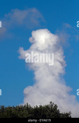 New Brighton, Wallasey, UK 31 Mars, 2016. UK. Météo. Résumé des visages, des nuages bizarres, inhabituelles, nuage nuages Nuages bizarres, étranges. Les Cumulonimbus sont un type de nuage Cumulus associés aux orages et fortes précipitations. Pareidoliais est un phénomène psychologique impliquant un stimulus à partir d'une image abstraite dans laquelle l'esprit perçoit un modèle familier de quelque chose là où il n'existe réellement, ou n'est-ce pas ? Des exemples communs sont perçus comme des images d'animaux, visages, ou des objets dans les formations nuageuses que dans ces exemples. Banque D'Images