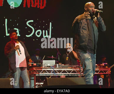 Festival WOMAD, Charlton Park, Wiltshire, Royaume-Uni. 24 juillet, 2015. Photo:Festival Womad Charlton Park Wiltshire:De La Soul, Posdnuos,Dave & Maseo, produisent sur la scène en plein air. Date24/07/2015 Ref : Crédit : charlie bryan/Alamy Live News Banque D'Images