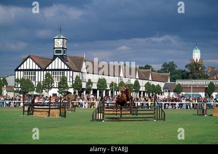 Rds Dublin Horse Show, Dublin, County Dublin, Irlande Banque D'Images