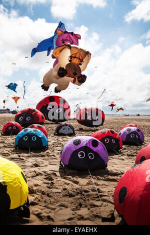Lytham, Lancashire, UK Coccinelles, Chien et ours & ladybird ground bouncer kites au St Annes Kite Festival le 25 juillet 2015. Le ciel au-dessus du front inondé de couleur que de fabuleux grand écran de cerfs-volants géants et de masse des animaux videur gonflables prenez l'air sur la plage adjacente à l'embarcadère. Le festival a présenté une seule ligne, double ligne, quad line et power kites, manche, soft, gonflables, des bannières, et sur roues de toutes formes et tailles à l'aide d'une variété de tissus de Kitesurf Banque D'Images