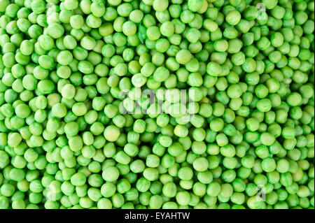 Tas de Pois verts frais sur l'affichage à l'extérieur Devaraja market in India Banque D'Images