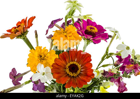 Bouquet de fleurs, isolé sur fond blanc Banque D'Images