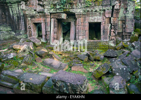 La jungle d'Angkor Wat temple Ta Prohm envahi par l'architecture en ruine avec moss Banque D'Images