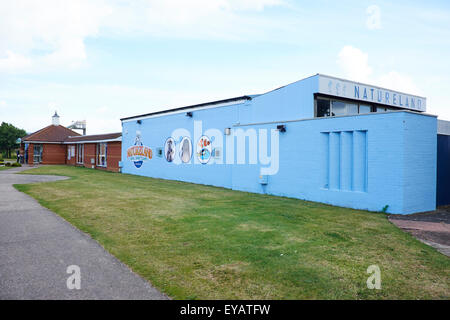 Natureland Seal Sanctuary North Parade Skegness Lincolnshire UK Banque D'Images