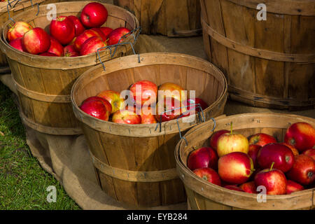 Les seaux en bois frais de pommes rouges prises sur un marché communautaire. Banque D'Images