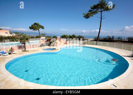 Arbre généalogique et piscine, sur la mer en Corse, France Banque D'Images