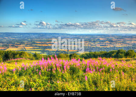 Pays de l'Ouest vue sur la campagne de collines de Quantock Somerset England UK Blackdown Hills en direction de la vallée de Taunton Banque D'Images