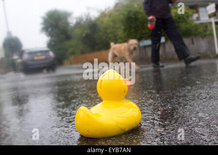 Wimbledon Londres, Royaume-Uni. 26 juillet 2015. Une zone piétonne avec un chien passer devant un canard en caoutchouc sur un jour de pluie à Londres : Crédit amer ghazzal/Alamy Live News Banque D'Images