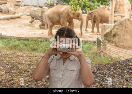 Le jeune photographe, portrait de petite fille en prenant des photos dans le zoo à l'éléphant. Banque D'Images